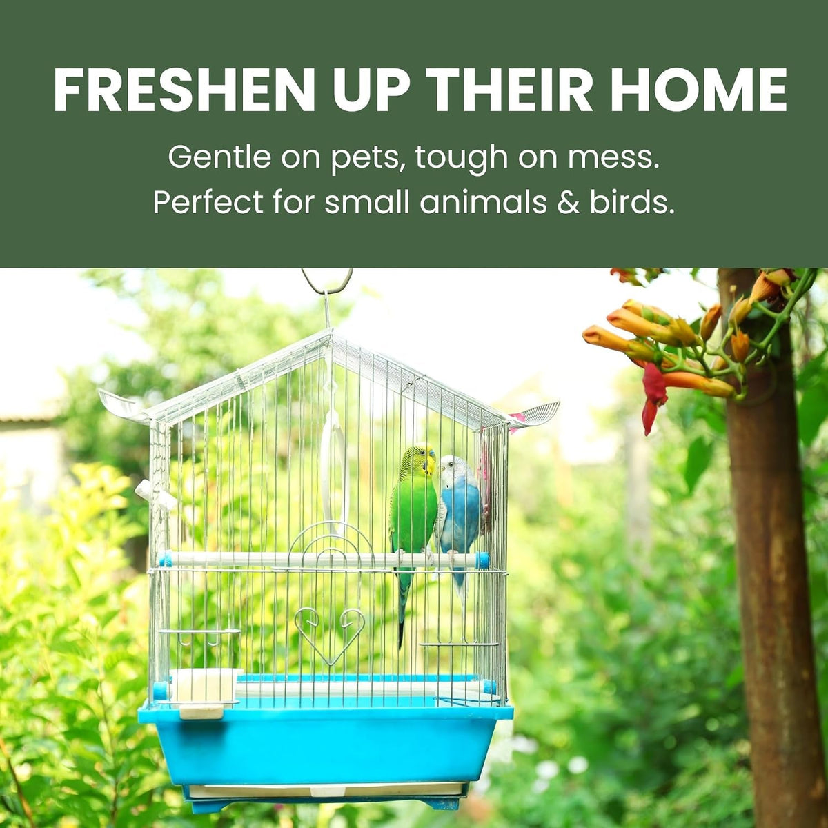 Atlantic Rush Small Animal & Bird Cage Cleaner Spray – 24 oz