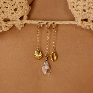 Conch Shell 0093