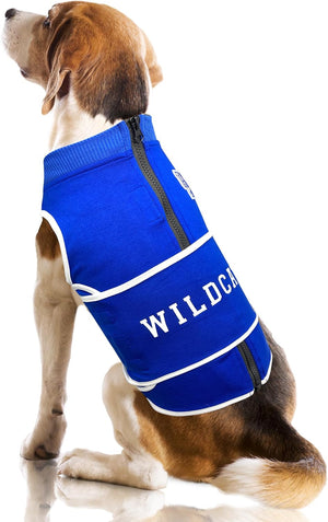 Kentucky Wildcats