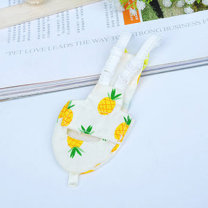 Pineapple XS