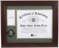 U.S. Army Medal and Award Frame with Medallion (13 x 16)