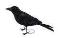 Realistic Giant Black Raven Bird Prop