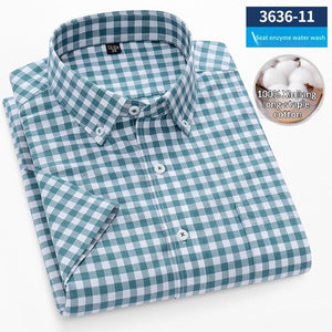 363611 Green Small Check