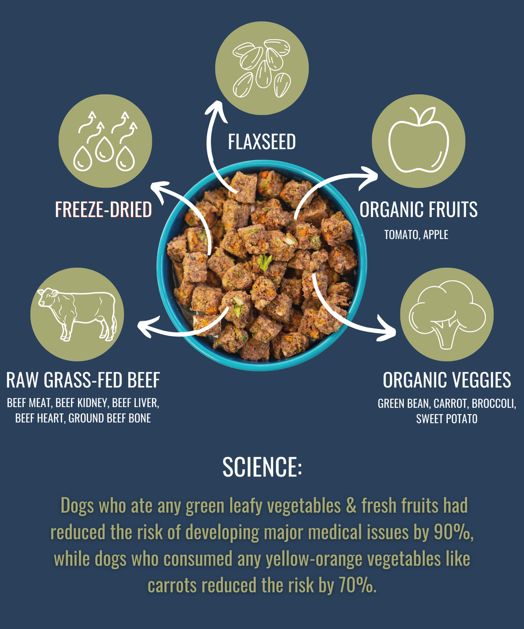 Freeze-Dried Raw Beef — Formulated for Dog Longevity