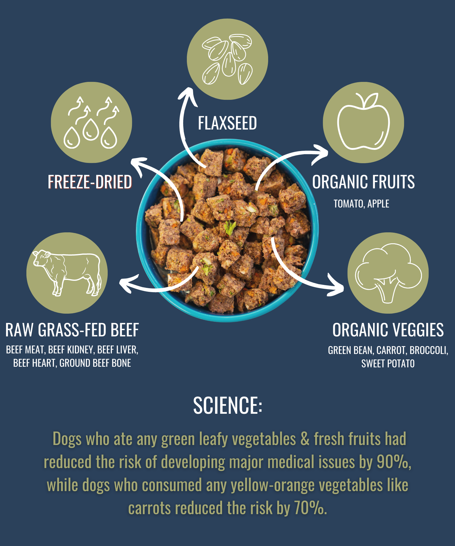 Freeze-Dried Raw Beef — Formulated for Dog Longevity