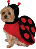 Lady Bug Pet Costume