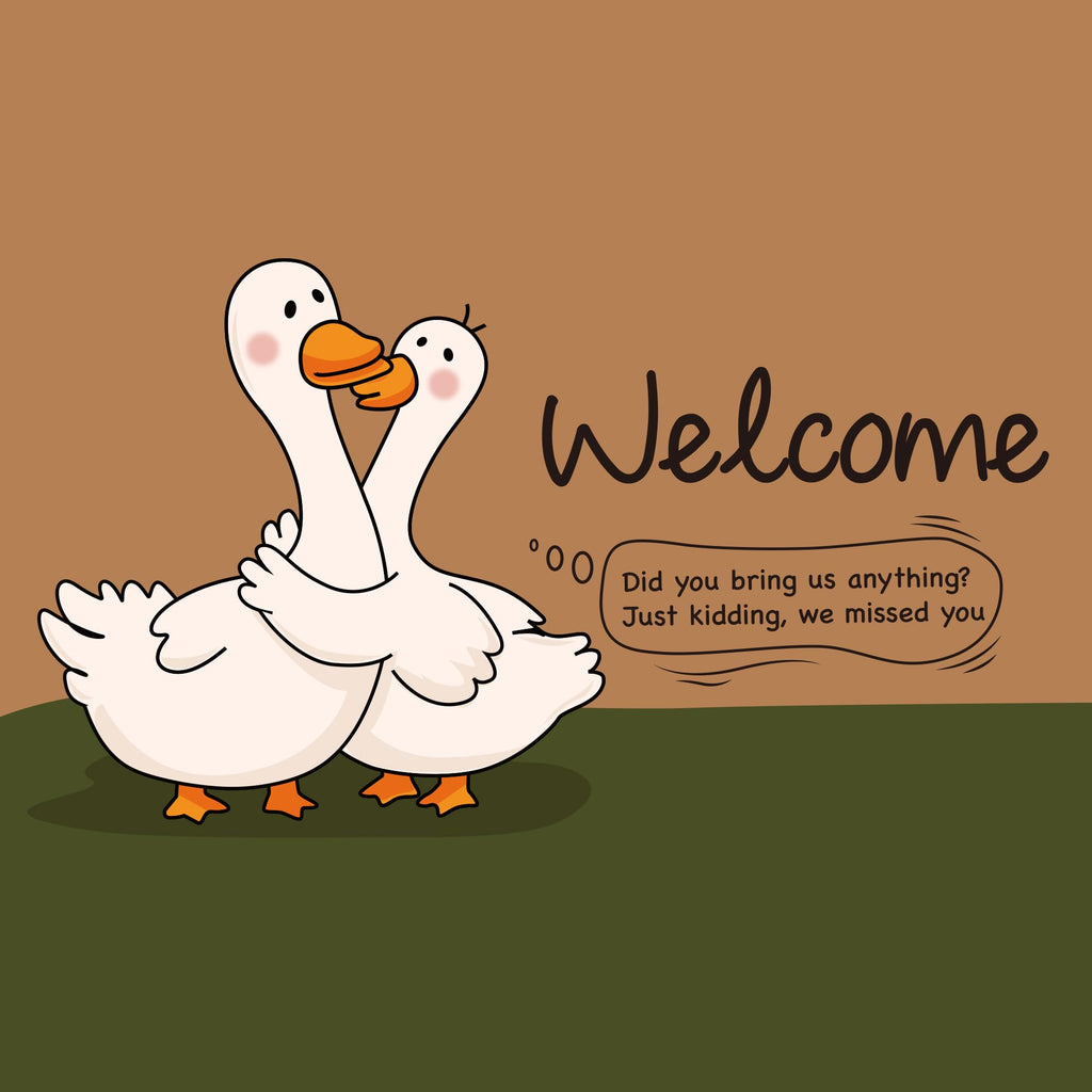 FEXIA Goose Pattern Indoor Outdoor Welcome Mat Rug 29x17 Polyester