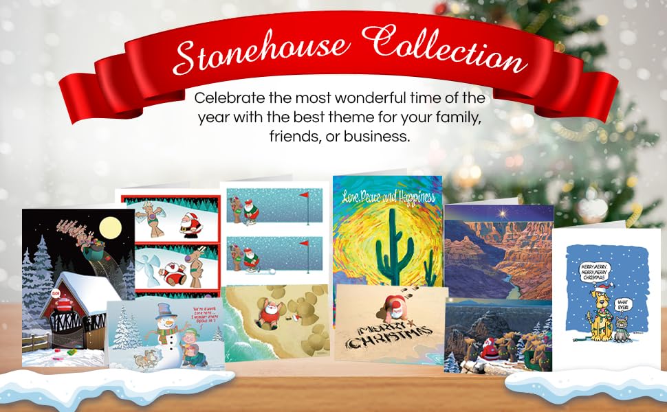 Stonehouse Collection 2-Pack Funny Thanksgiving Greeting Cards Turkey Assorted