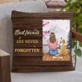 Personalized Pet Memorial Pillow Cover - Adult/Couple With Up to 4 Pets - Memorial Gift Idea For Dog/Cat Lover - Best Friends Are Never Forgotten