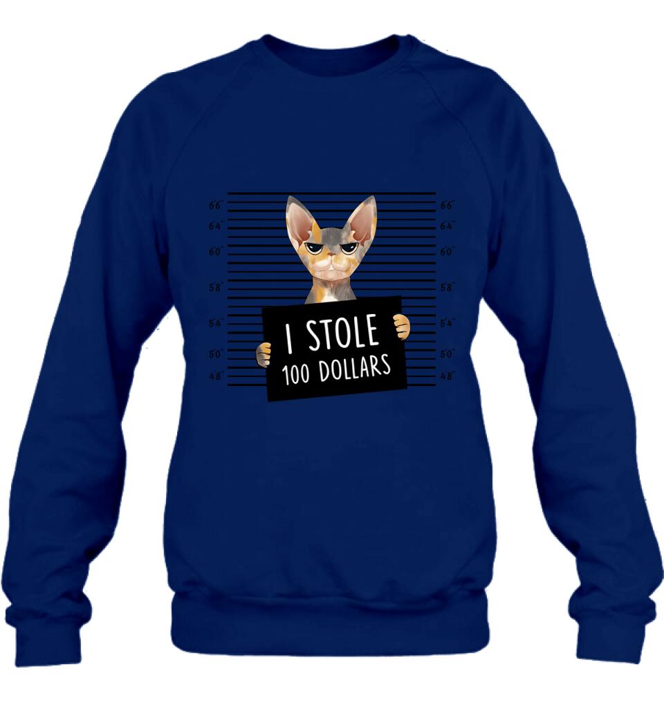 Personalized Bad Cat Shirt/Pullover Hoodie - Up to 2 Cats - Gift Idea For Cat Lover - Yes, We're Aware Of How Obnoxious
