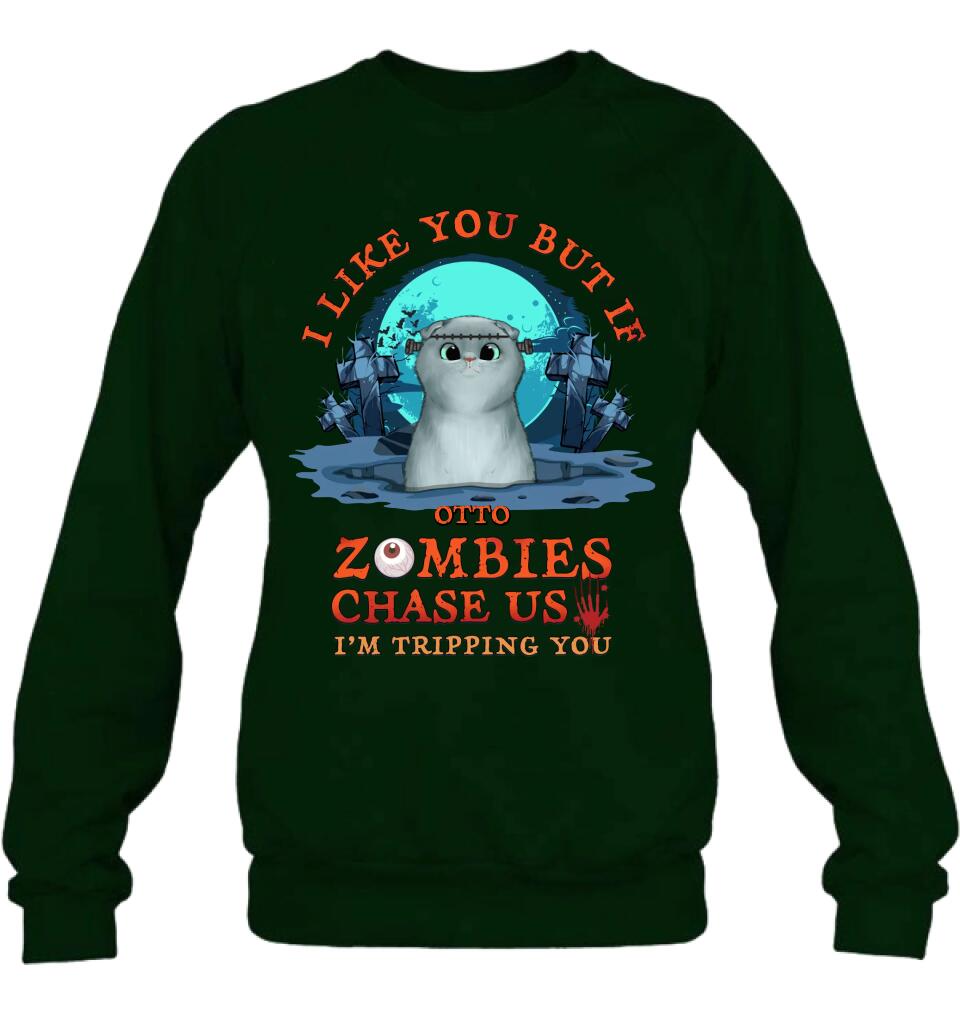 Personalized Pet Shirt/Hoodie - Up to 5 Dogs/Cats - Halloween Gift For Dog/Cat Lovers - I Like You But If Zombies Chase Us I'm Tripping You