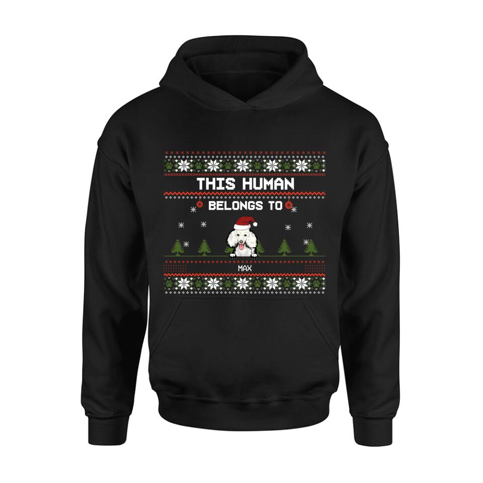 Personalized Dog Mom T-shirt/Long Sleeve/Sweatshirt/Hoodie - Up to 5 Dogs - Christmas Gift For Dog Lover - This Human Belongs To