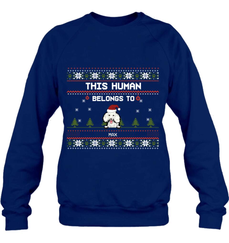 Personalized Dog Mom T-shirt/Long Sleeve/Sweatshirt/Hoodie - Up to 5 Dogs - Christmas Gift For Dog Lover - This Human Belongs To