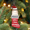 Personalized Cat Ornament - Christmas Gift Idea For Pet Owners - Kitten's First Christmas