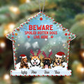 Personalized Christmas Acrylic Ornament - Gift Idea For Dog Lover/Cat Lover with up to 4 Pets - Beware Spoiled Rotten Dogs Live Here
