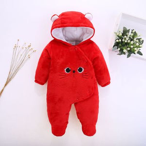 Red cat