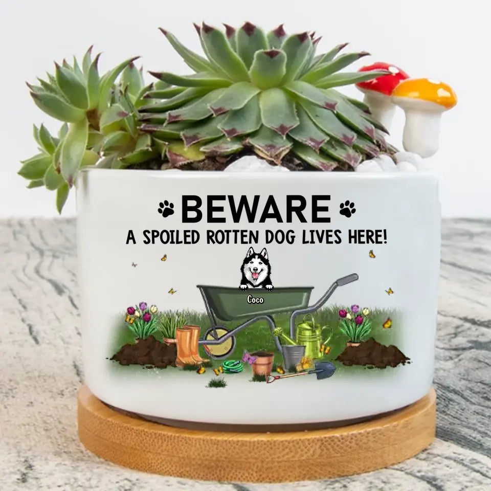 Personalized Garden And Dog Plant Pot - Gift Idea For Dog/Garden Lover - Up to 4 Dogs - Beware A Spoiled Rotten Dog Lives Here