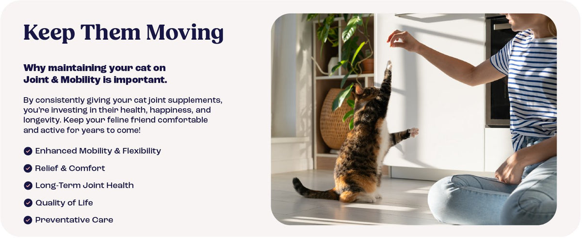 Cat Joint Supplement with Chondroitin for Mobility