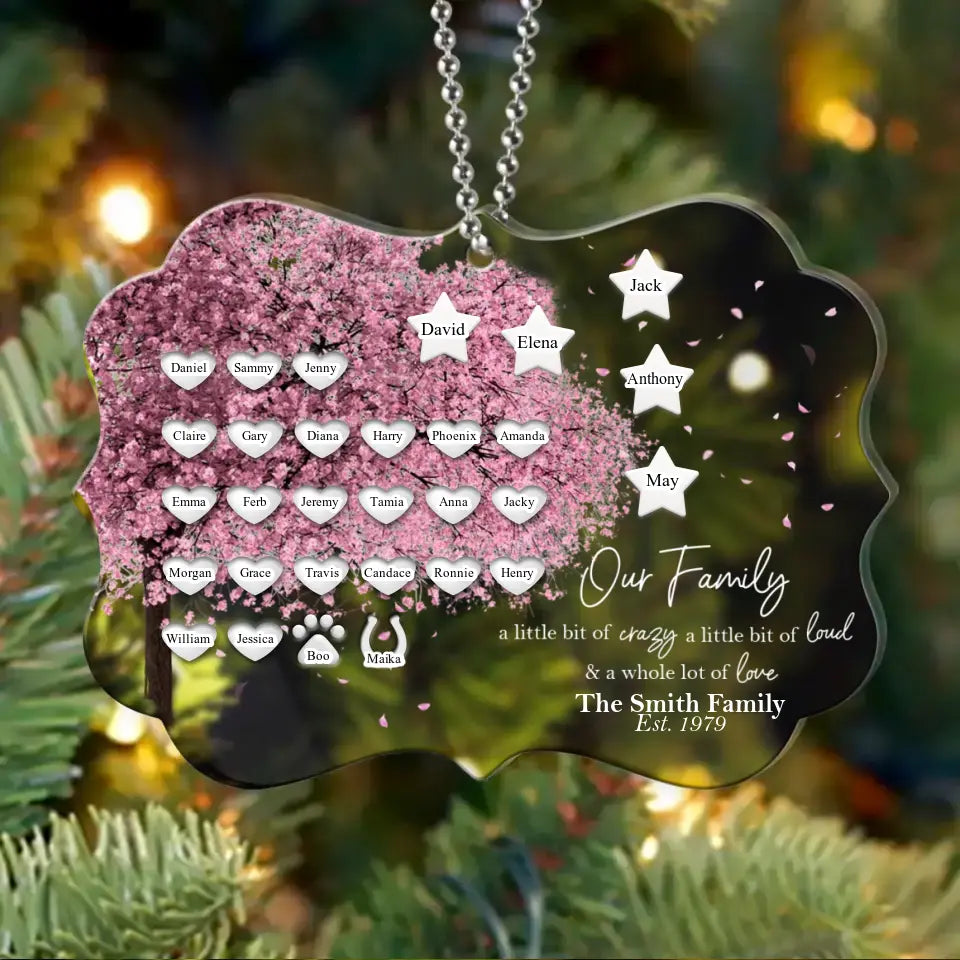 Personalized Family Tree Rectangle Acrylic Ornament - Up to 30 People/Pets - Gift Idea for Family - Our Family A Little Bit Of Crazy A Little Bit Loud & A Whole Lot Of Love