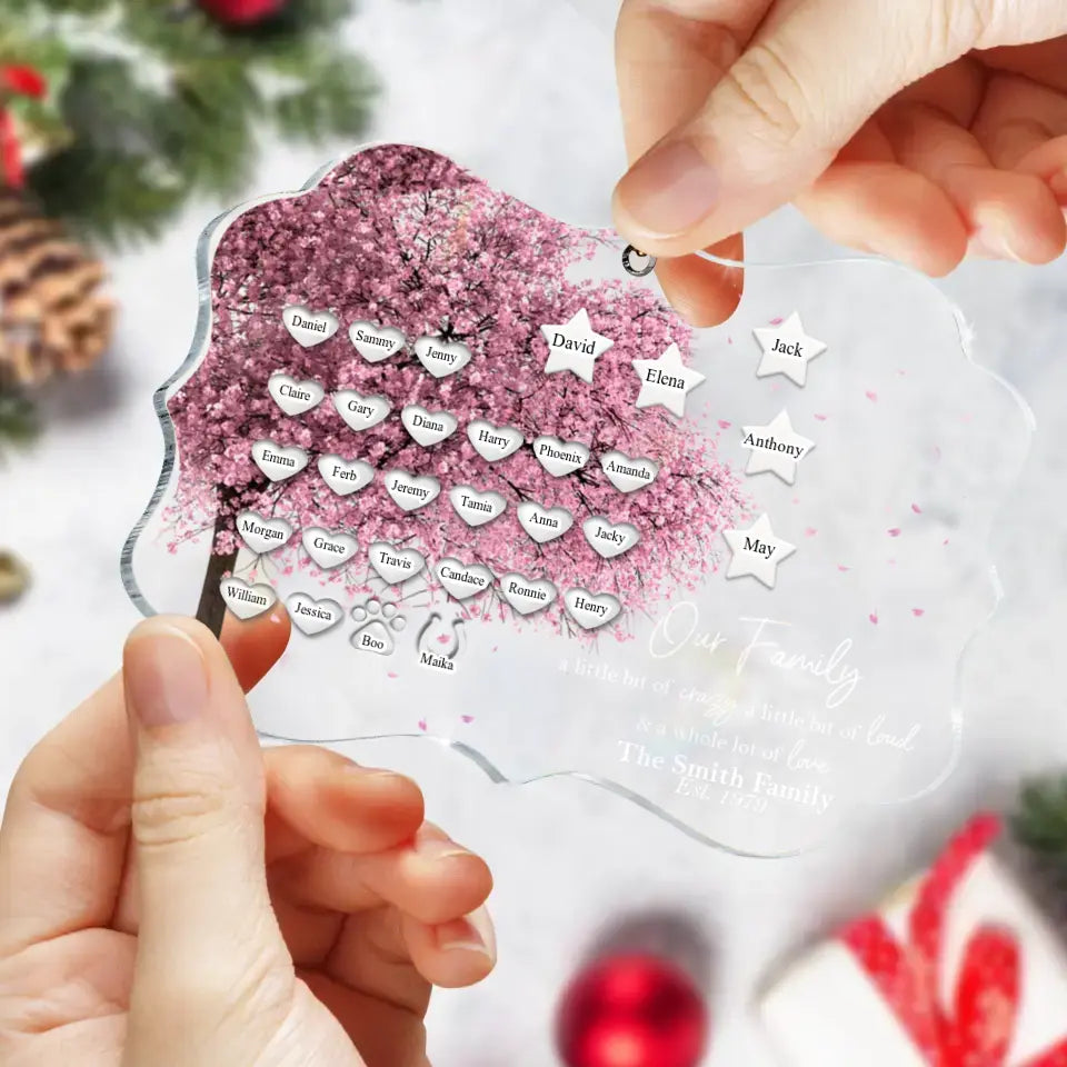 Personalized Family Tree Rectangle Acrylic Ornament - Up to 30 People/Pets - Gift Idea for Family - Our Family A Little Bit Of Crazy A Little Bit Loud & A Whole Lot Of Love