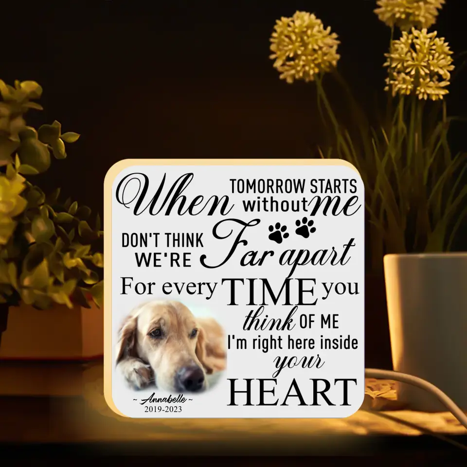 Personalized Memorial Pet Photo Light Box - Memorial Gift Idea For Pet Lover - When Tomorrow Starts Without Me