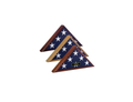 Flag Display Case 4x6 flag, Capitol Hill Flag Case