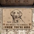 Personalized Welcome Doormat - Upload Pet's Photos - Gift Idea For Dog Lover - No Need To Knock I Know You're Here