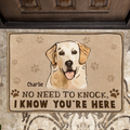 Personalized Welcome Doormat - Upload Pet's Photos - Gift Idea For Dog Lover - No Need To Knock We Know You're Here