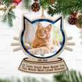 Custom Personalized Memorial Cat Ornament - Upload Photo - Memorial Gift Idea For Cat Lover - If Love Could Have Saved You You Would Have Lived Forever