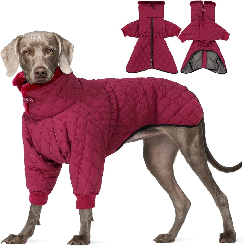 Waterproof Fleece-Lined Dog Snow Jacket, S–3XL