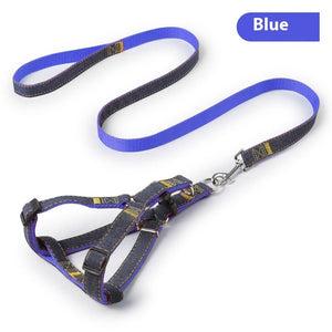 Blue A Set