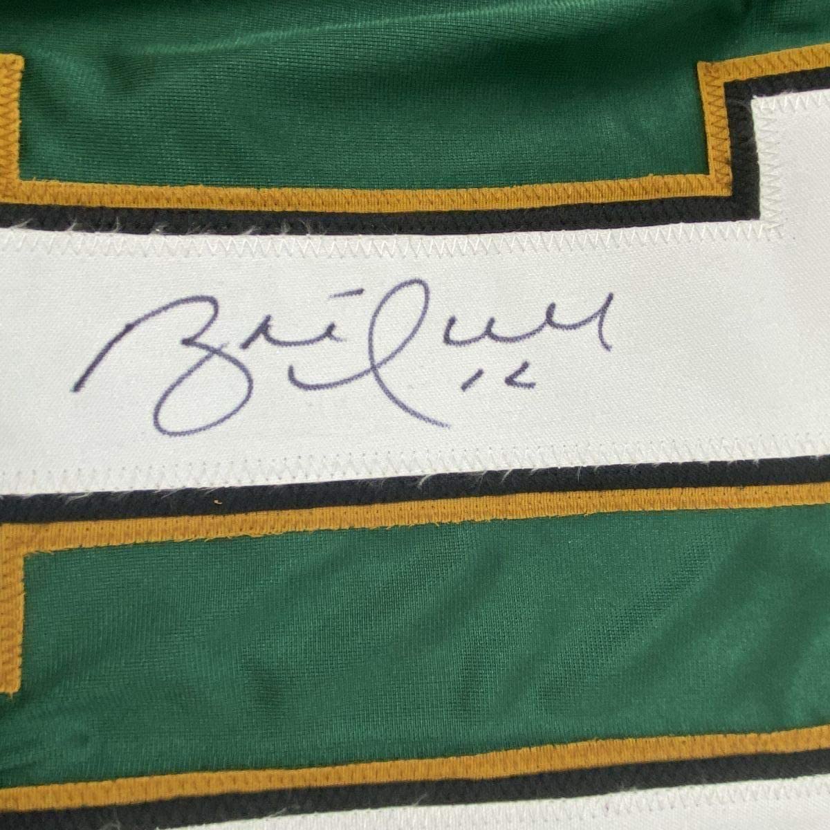 Framed Autographed/Signed Brett Hull #16 35x39 Dallas Green Hockey Jersey JSA COA