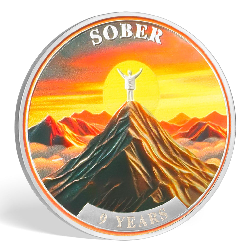 9 Year Sobriety Coin Gifts | Embrace The Sun AA Chip Medallion with Inspirational Quote | Narcotics Alcoholics Anonymous Anniversary Sobriety Gifts for Men Women in Recovery