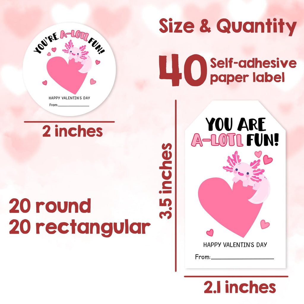 Valentine's Day Labels-You are A-Lotl Fun-20 Circles & 20 Rectangles Self-Adhesive Paper Stickers for Valentines Gifts Envelope Sealing Snack Stickers, Valentine's Day Supplies-04