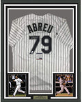 Framed Autographed/Signed Jose Abreu 35x39 Chicago Pinstripe Baseball Jersey PSA/DNA COA
