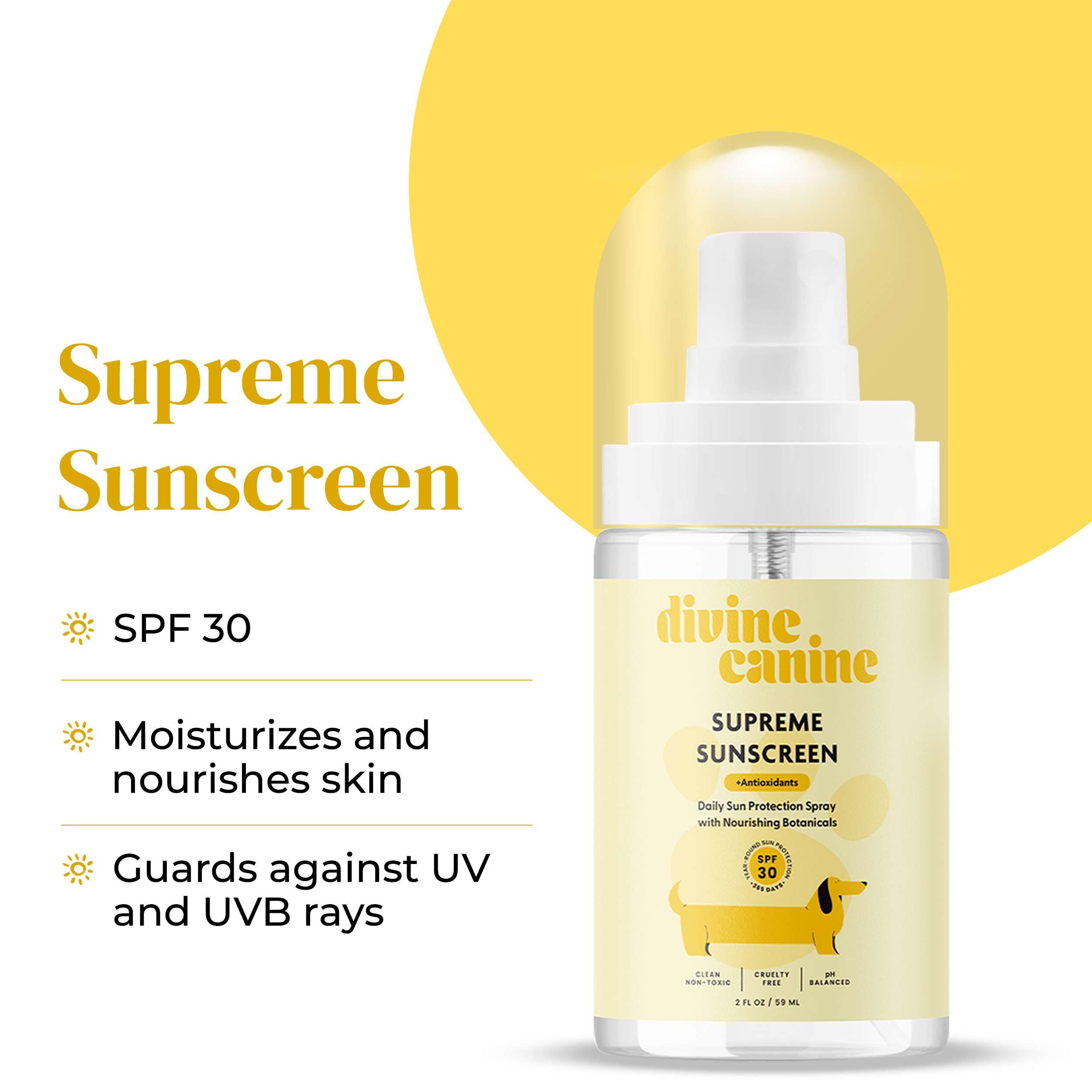 Divine Canine Summer Essentials Dog Care Kit Sunscreen Paw Balm