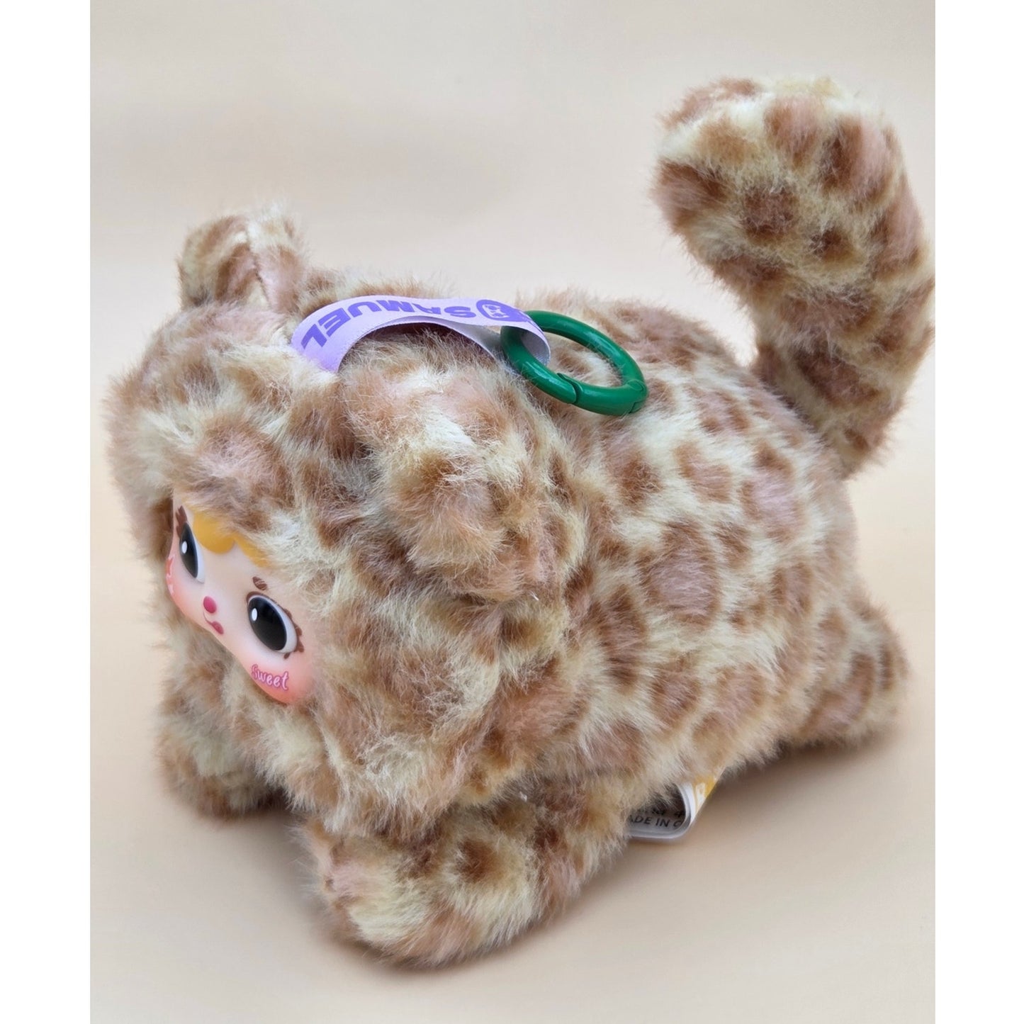 Samuel San Xiao Mao - Confirmed Kaka Cat