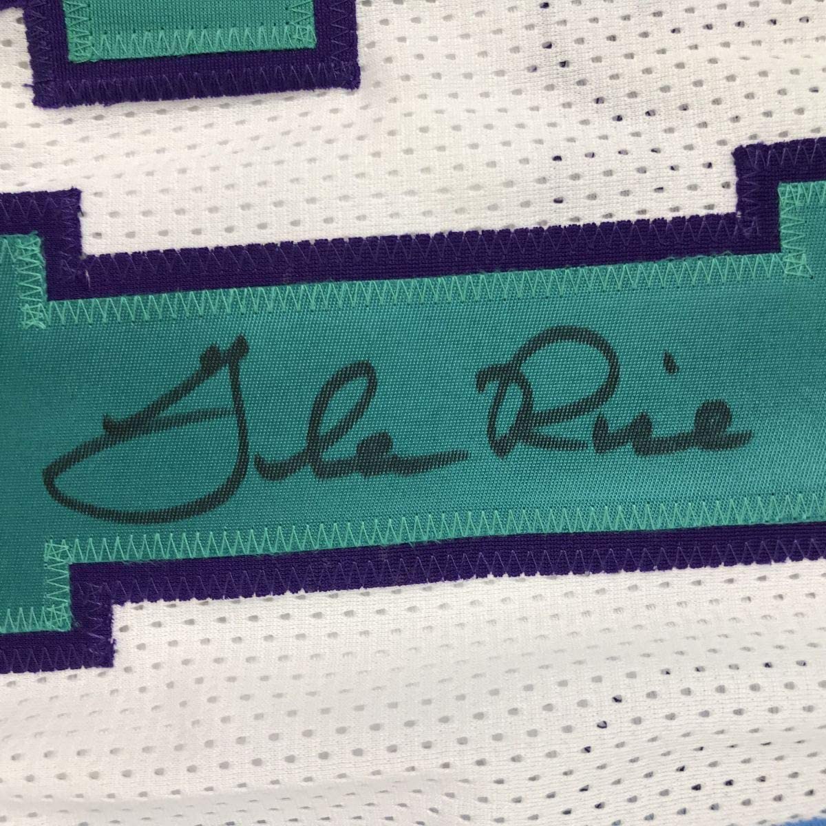 Framed Autographed/Signed Glen Rice 35x39 Charlotte White Basketball Jersey PSA/DNA COA