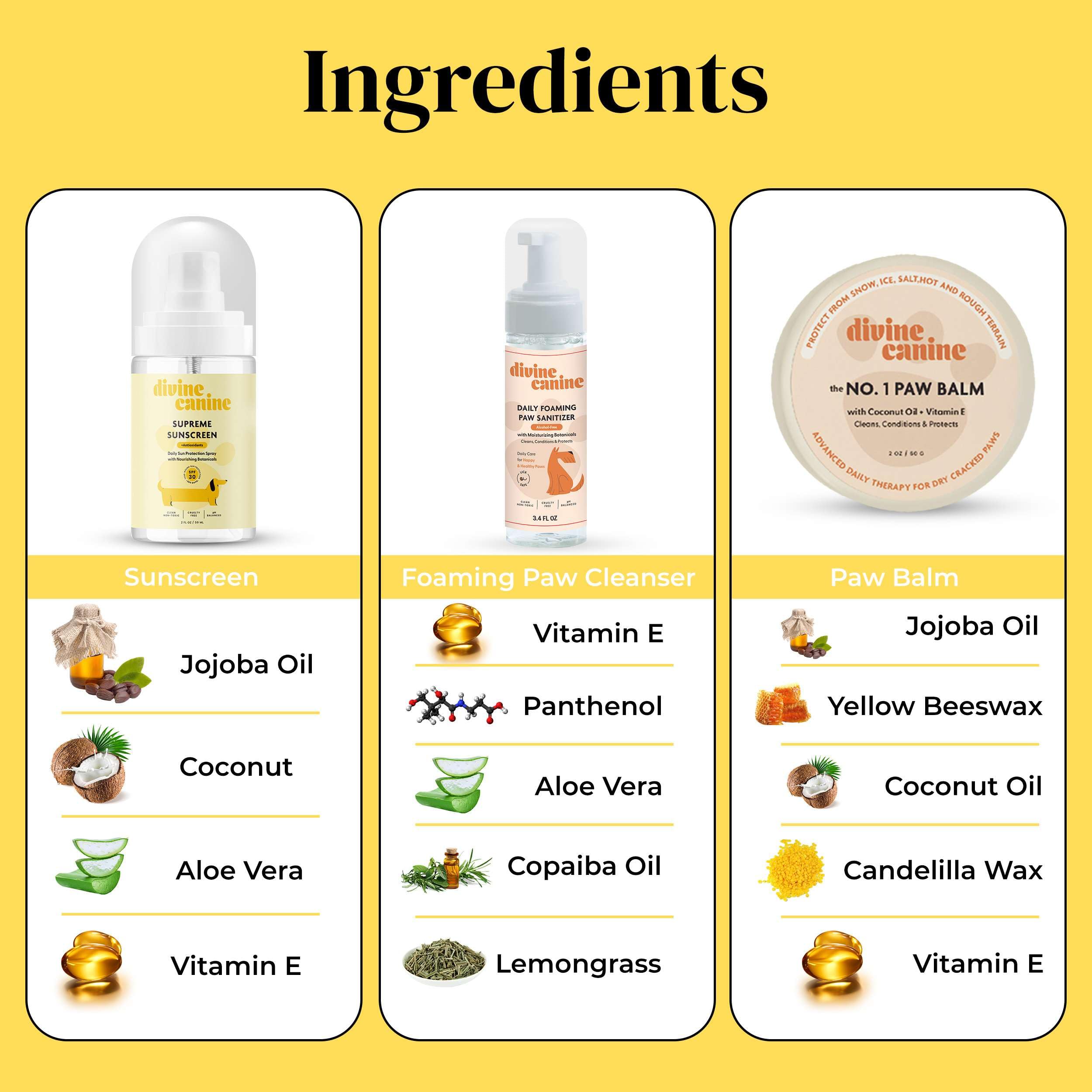 Divine Canine Summer Essentials Dog Care Kit Sunscreen Paw Balm