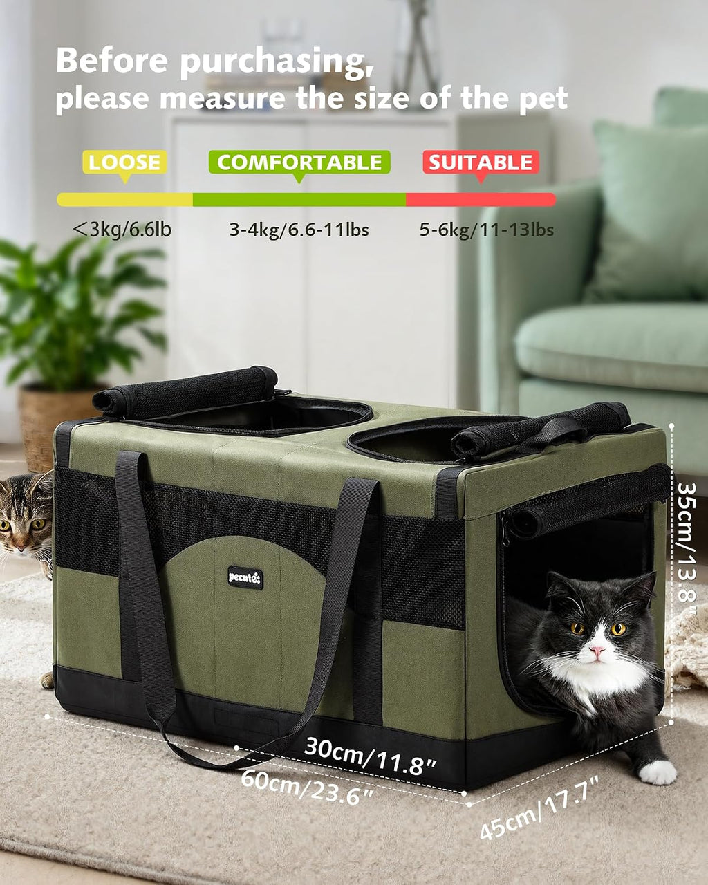 Large Double Cat Carrier with Removable Divider