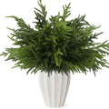 Wsorik 12Pcs 24 Inch Norfolk Pine Stems Artificial Greenery Branches