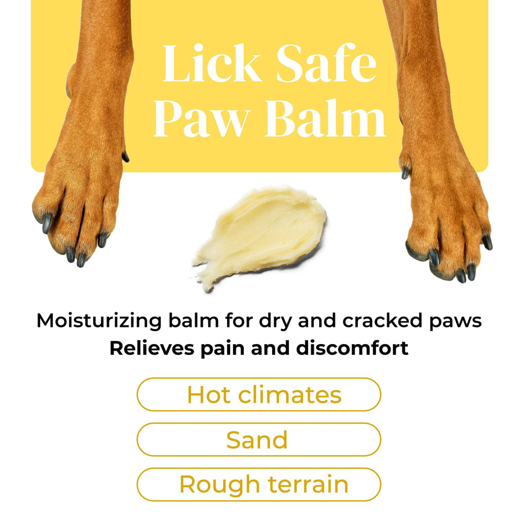 Divine Canine Summer Essentials Dog Care Kit Sunscreen Paw Balm