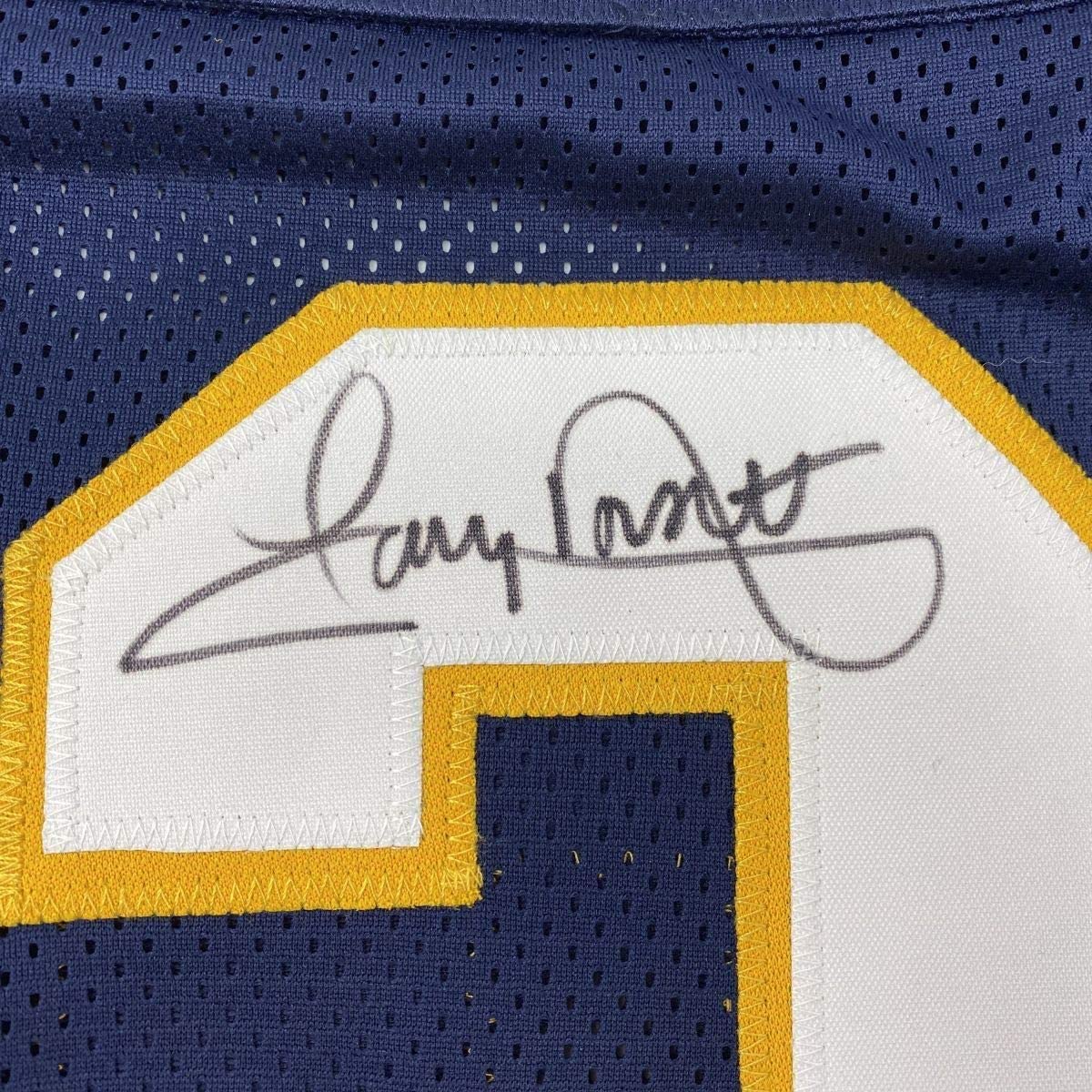 Framed Autographed/Signed Tony Dorsett 35x39 Pittsburgh Blue College Football Jersey JSA COA