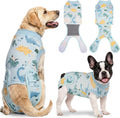 Female Dog Recovery Suit After Spay – 3 Patterns, S–2XL