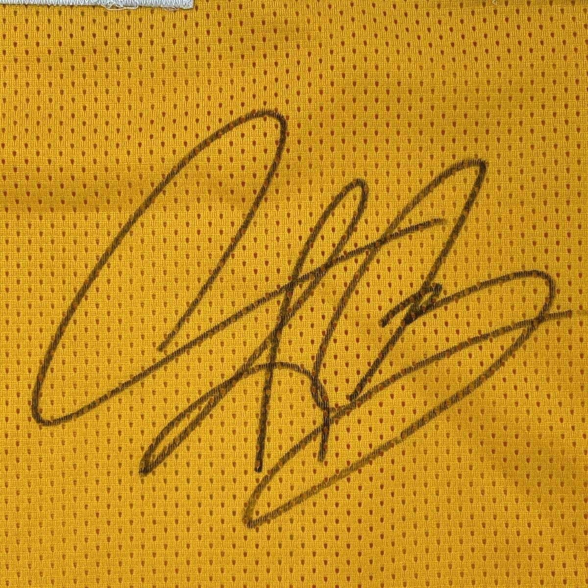 Framed Autographed/Signed Dennis Rodman 35x39 Los Angeles LA Yellow Basketball Jersey JSA COA