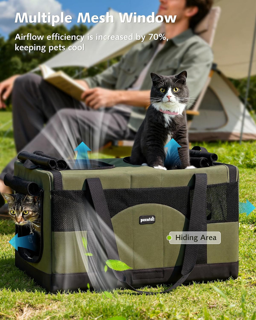 Large Double Cat Carrier with Removable Divider