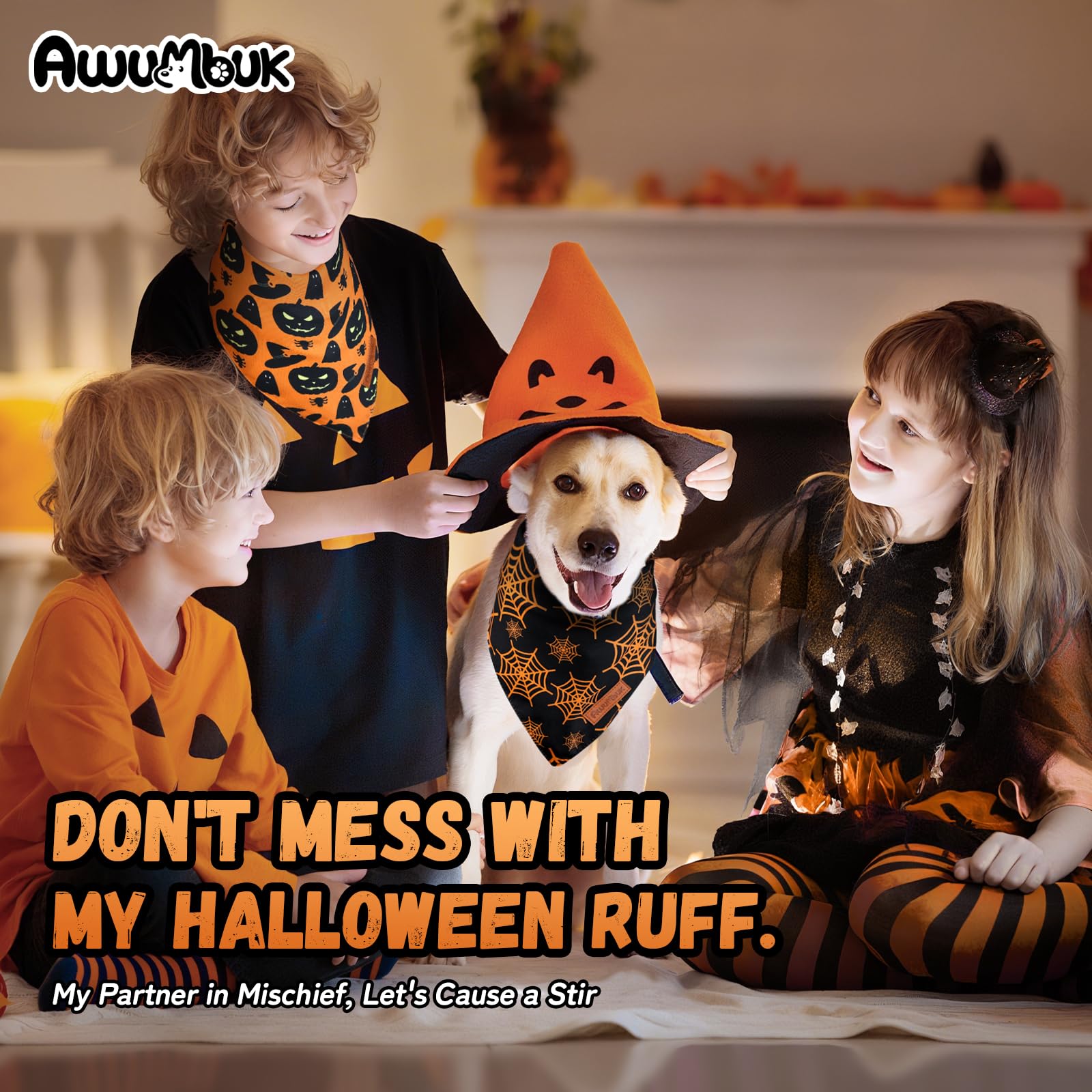 Awumbuk Halloween Dog Bandanas 2 Pack Reversible Pumpkin Spider Web Black