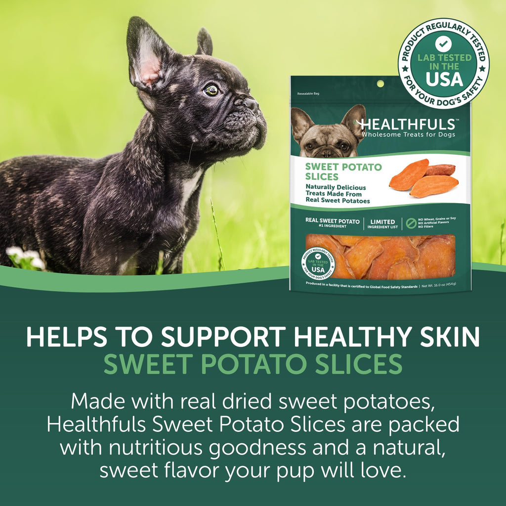 Healthfuls Sweet Potato Slices Dog Treats Grain Free Limited Ingredient 16 oz