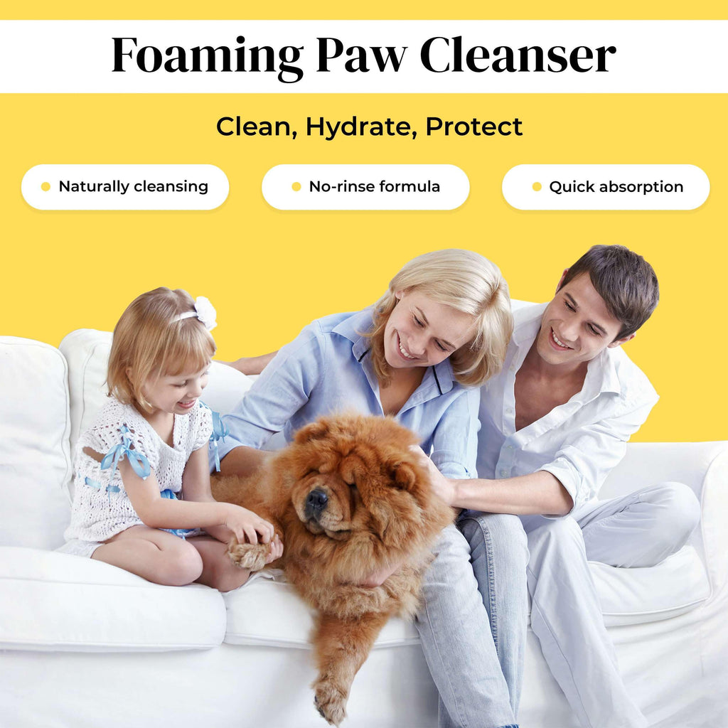 Divine Canine Summer Essentials Dog Care Kit Sunscreen Paw Balm