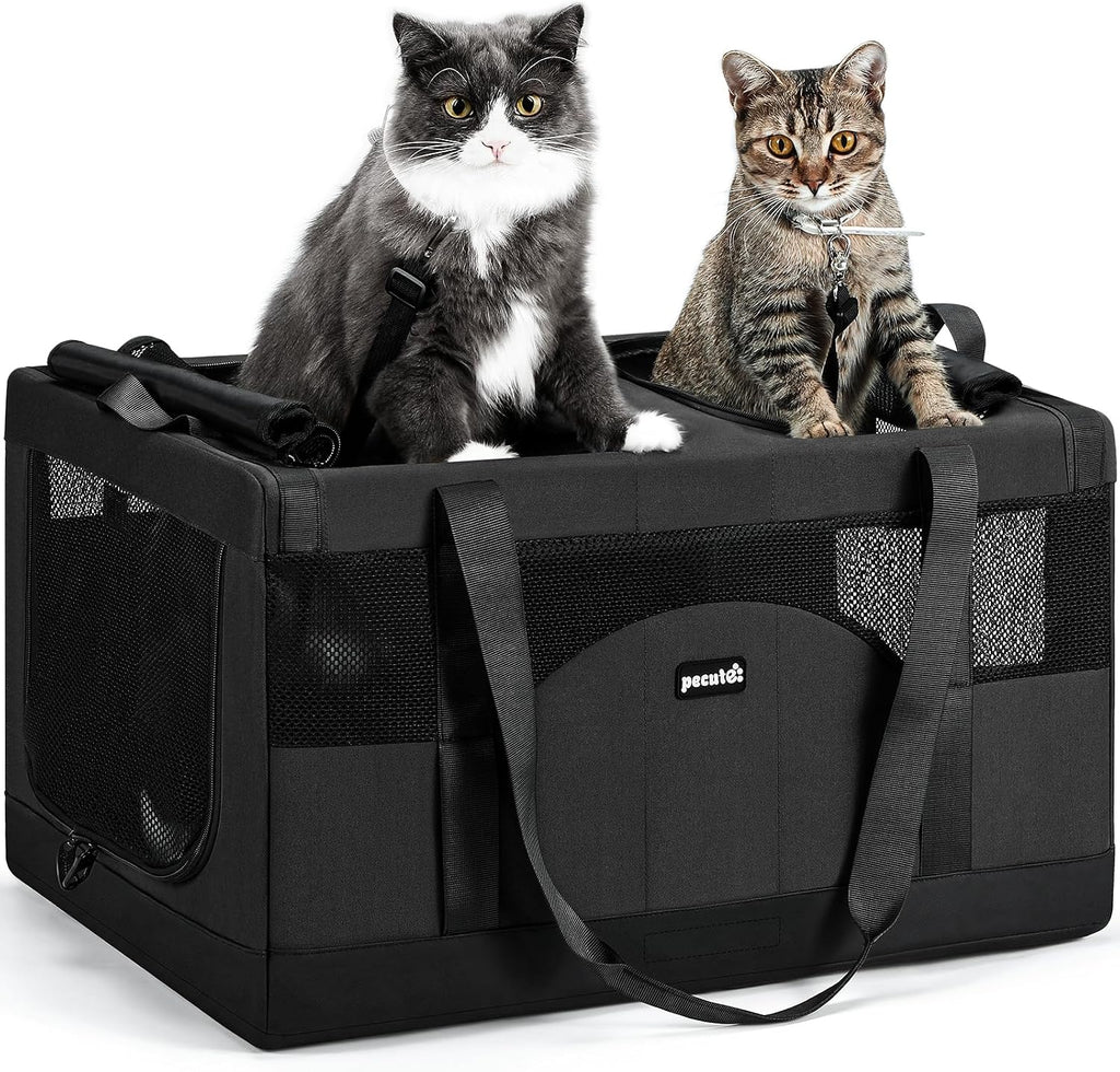 Large Double Cat Carrier with Removable Divider